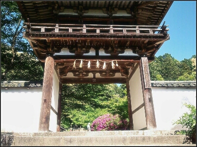 花めく初夏［長岳寺］_d0277422_2214582.jpg