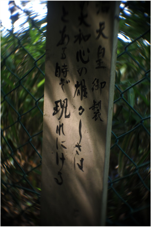 b0226423_014779.jpg