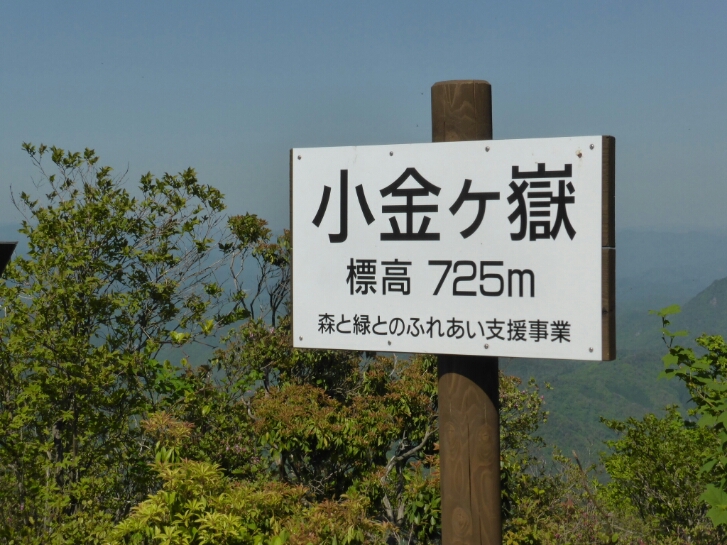 b0211924_11793.jpg