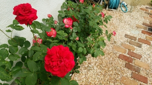e0263224_23044603.jpg