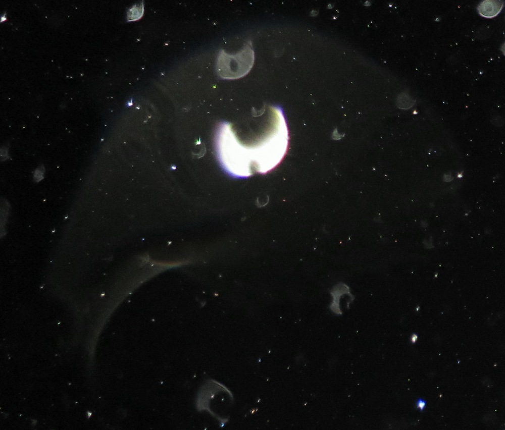 c0331825_11472722.jpg