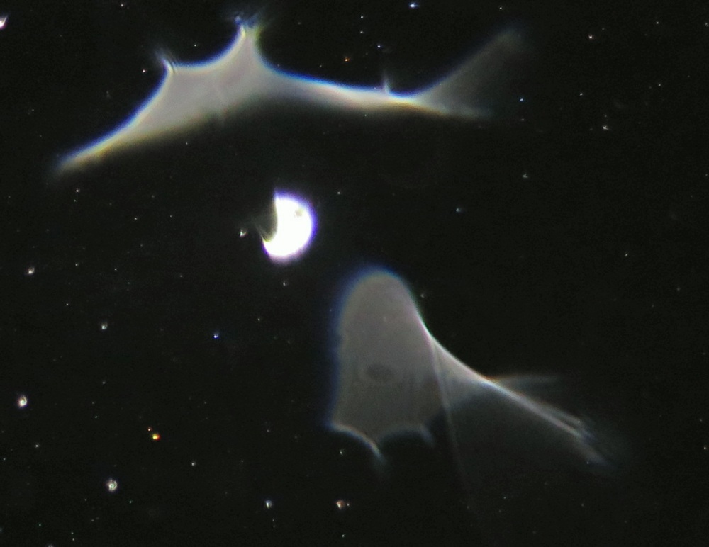 c0331825_11494584.jpg