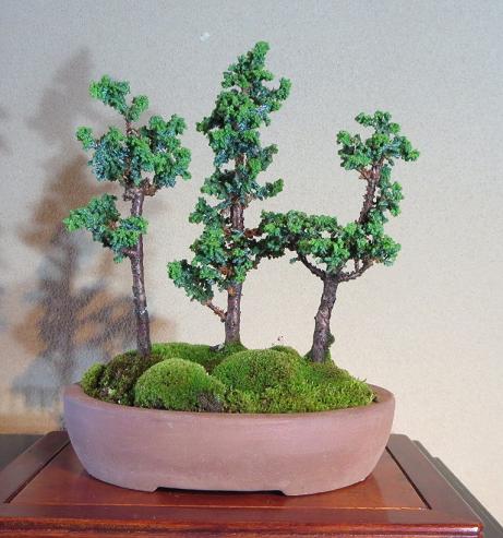 石化檜（セッカヒノキ） : クニロー51の絵日記