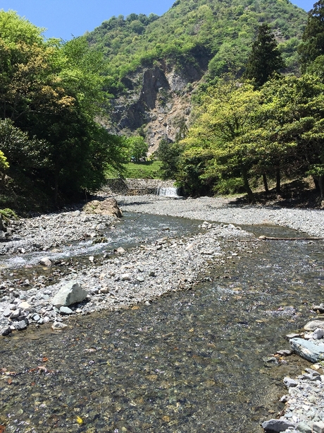 初利用★青川峡キャンピングパーク（２日目）_c0113733_744106.jpg