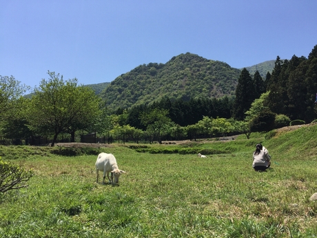c0113733_7464178.jpg