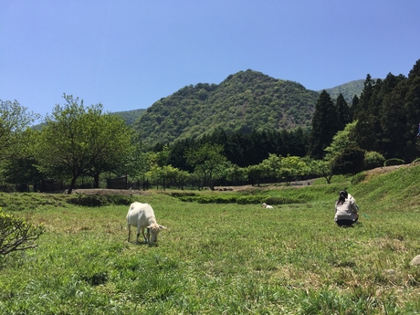 初利用★青川峡キャンピングパーク（２日目）_c0113733_7464178.jpg