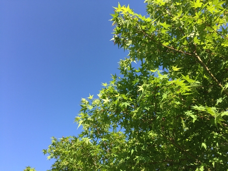 c0113733_749109.jpg