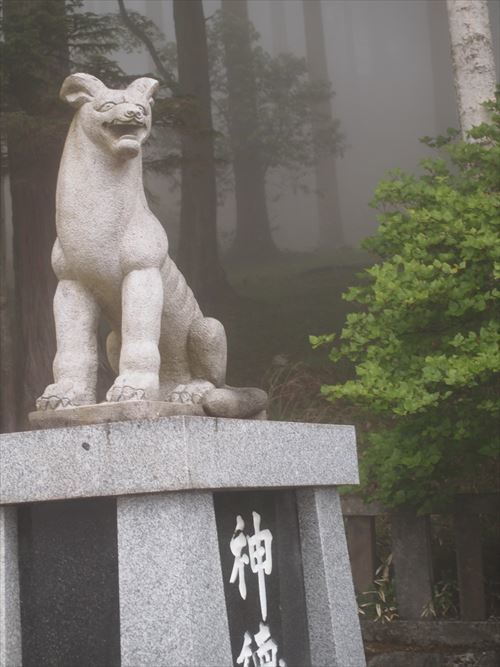 大神・狼・WOLF_d0161933_20502175.jpg