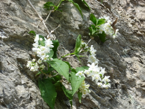 b0298935_09265416.jpg