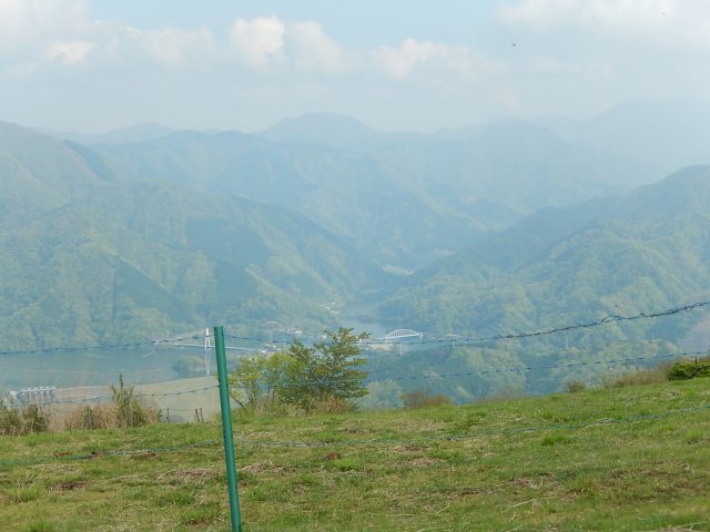 a0048040_7581925.jpg