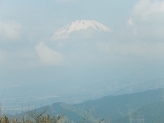 a0048040_758257.jpg