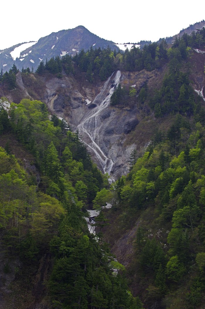 d0237340_858209.jpg