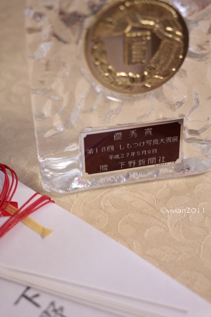 2015年を振り返って ~今年もお世話になりました~_e0227942_20420840.jpg