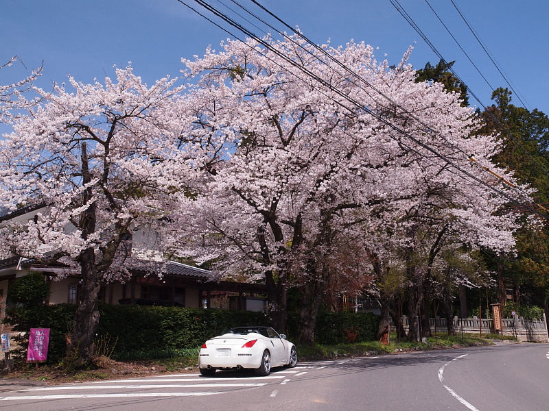 SAKURA 2015　　安曇野の桜めぐり　〈大宮熱田神社の近く〉　　　Apr. 18, 2015_a0106043_16441063.jpg