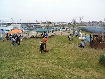 d0204043_20425098.jpg