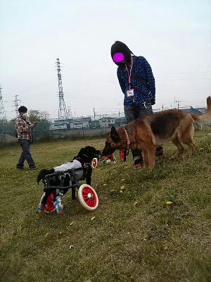 d0204043_2045284.jpg