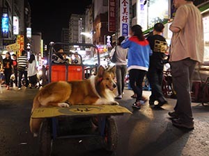 台湾旅行2_f0152544_1231388.jpg