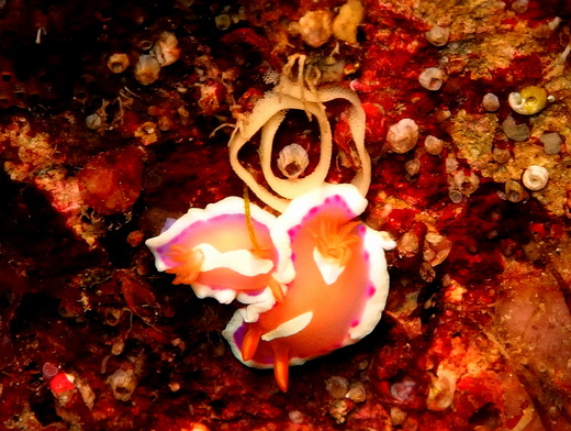 b0236647_1622181.jpg
