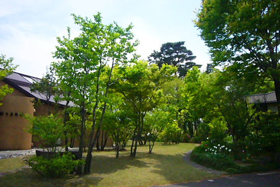 GWの小さな旅 癒しの「樹下美術館」_a0303951_20325432.jpg
