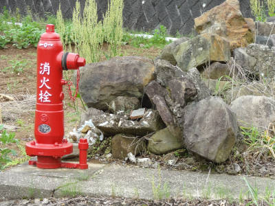 e0033751_15271481.jpg