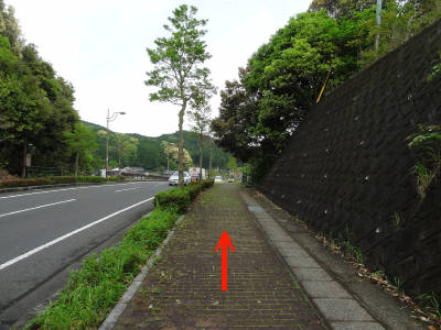 e0033751_1643875.jpg