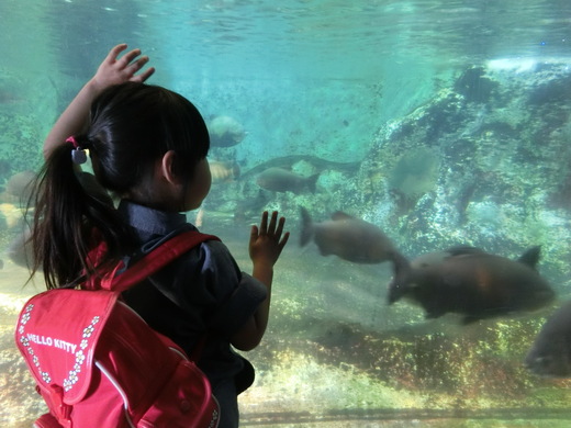 理系な子に育てる　12　水族館_b0242956_19374946.jpg