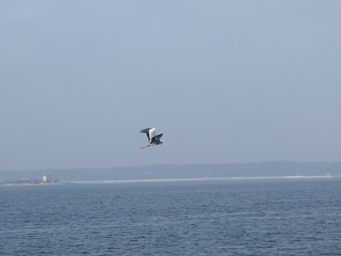 f0161757_1427897.jpg