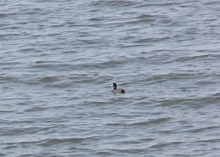 f0161757_1431459.jpg