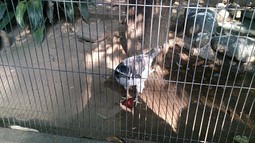 上野動物園_a0011658_16404983.jpg