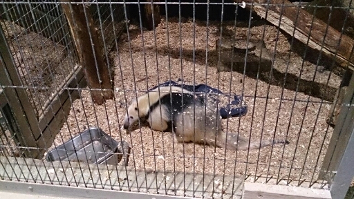 上野動物園_a0011658_16421640.jpg