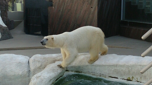 上野動物園_a0011658_1643635.jpg