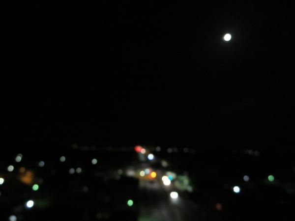 【酒田の初夏】「ふきのとう」で夕食ビュッフェ_c0042960_1702840.jpg