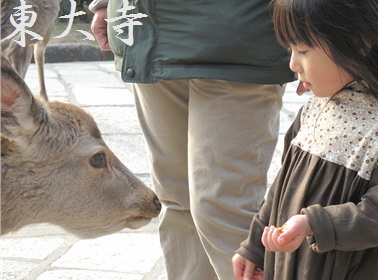 東大寺 - 2  2015.05.05_e0201060_14125387.jpg