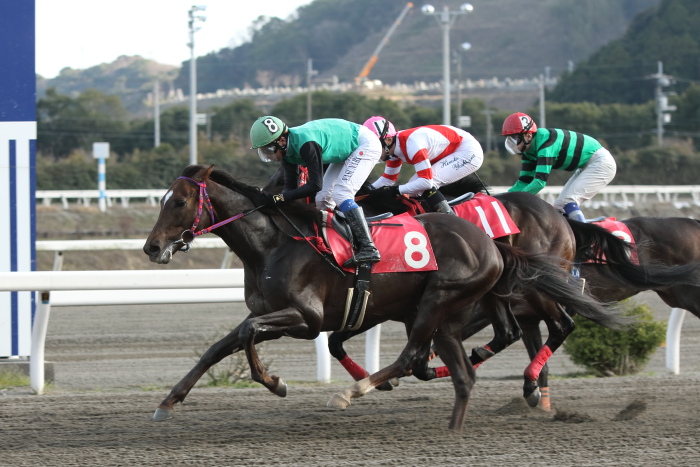 JRA交流 はりまや盃 その2_a0077663_1523459.jpg