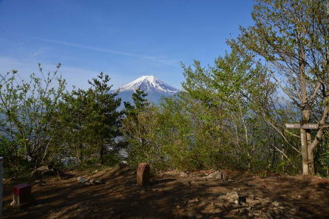 鳥居地峠～杓子山～鹿留山_a0307264_17515361.jpg