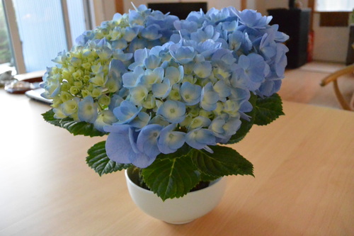 e0151566_201124.jpg