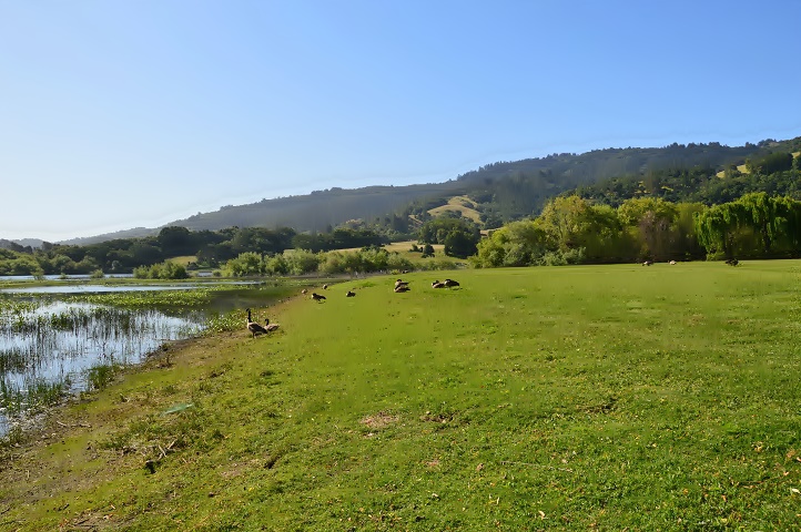 At Stafford lake_a0126969_620964.jpg