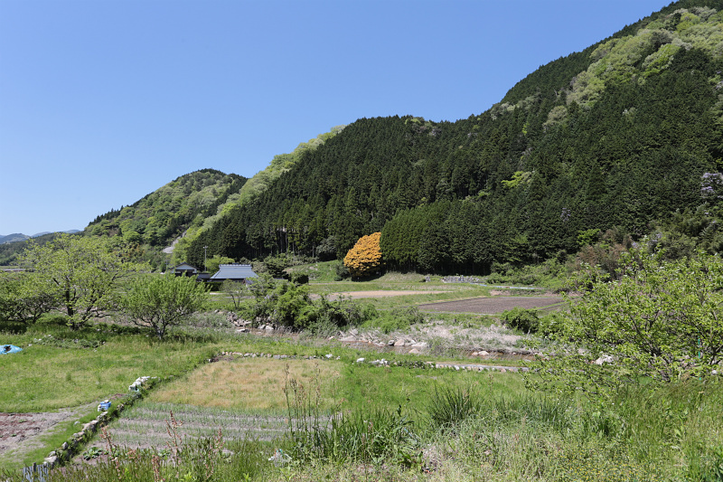 森林公園までの道中_a0170378_20304117.jpg