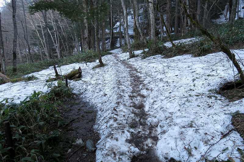 2015年4月30日　上高地（その１）_c0313378_22504068.jpg