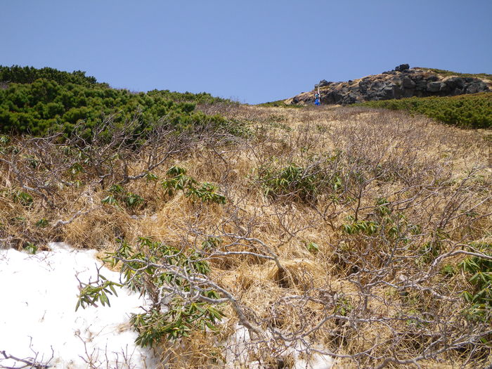 鳥海山・湯ノ台コース ～ ２０１５年５月２日_f0170180_12154517.jpg