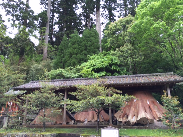c0346781_20482564.jpg