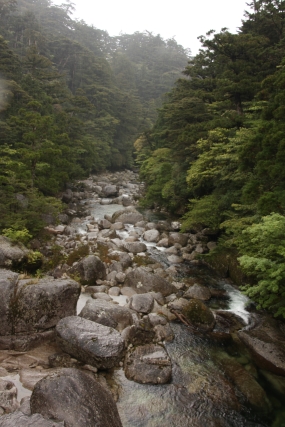 b0207284_20213055.jpg