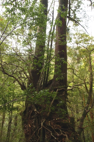 b0207284_2023320.jpg