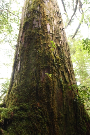 b0207284_2028027.jpg