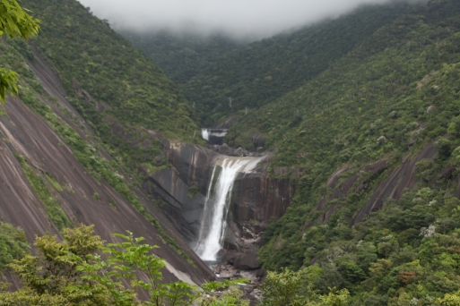 b0207284_20415961.jpg