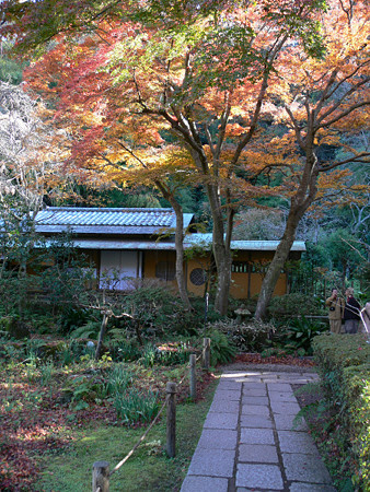 ☆紅葉の屏風、鎌倉／瑞泉寺_c0168984_22350511.jpg