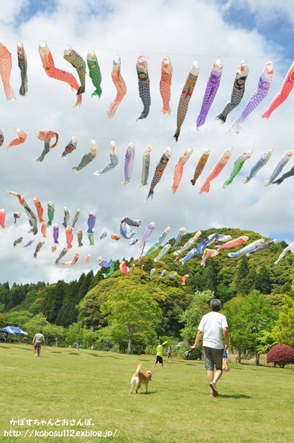 ひめはるの里_a0126590_22294990.jpg