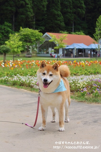ひめはるの里_a0126590_22315110.jpg