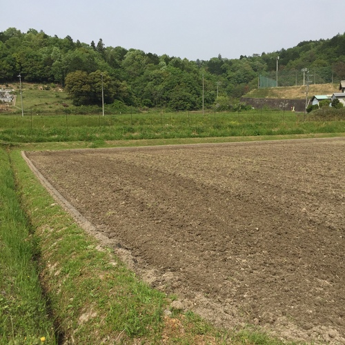 f0148890_042642.jpg