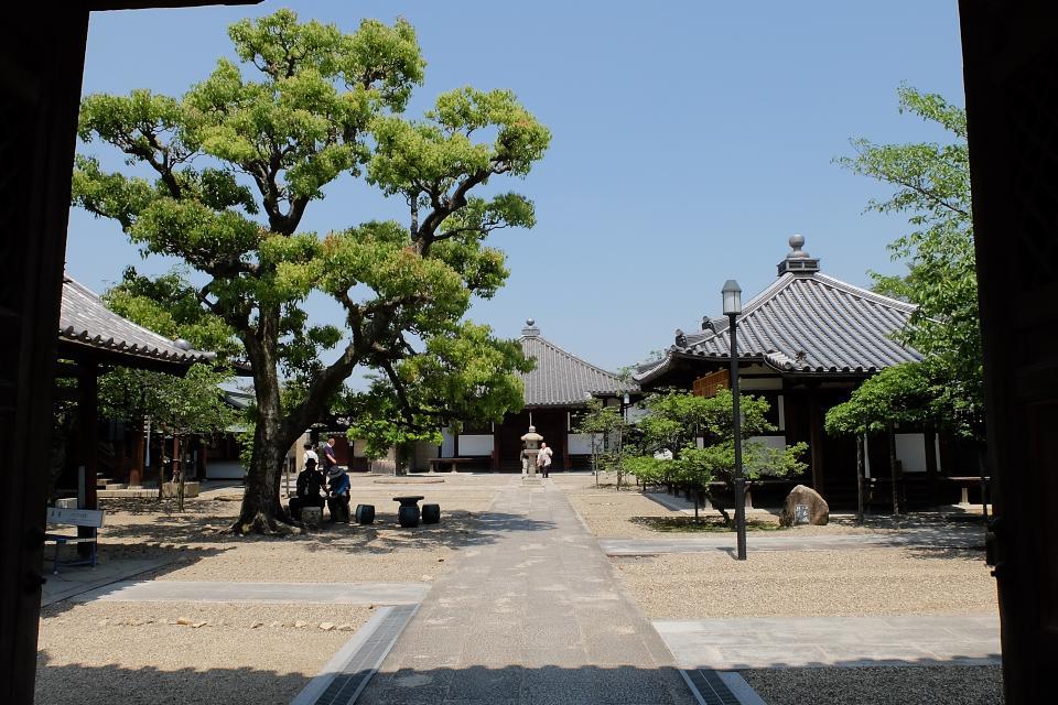 道明寺_d0069495_07191724.jpg